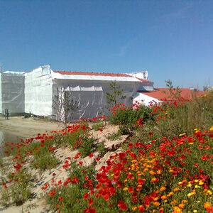 Landgoed Kuinrebos Bant