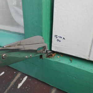 Saxenoord te Franeker