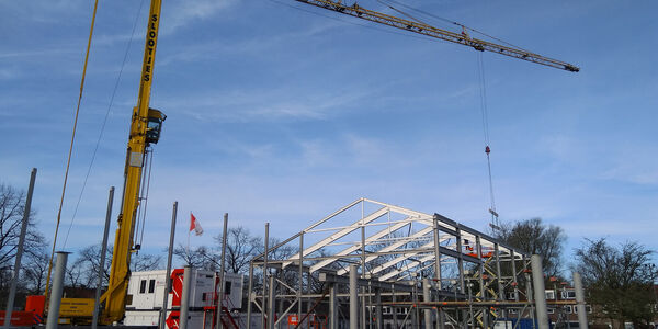 Goeman Borgesiusschool