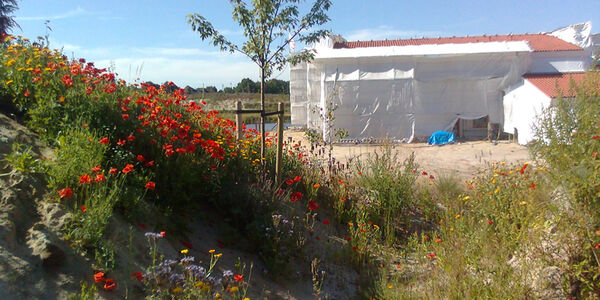 Landgoed Kuinderbos Bant